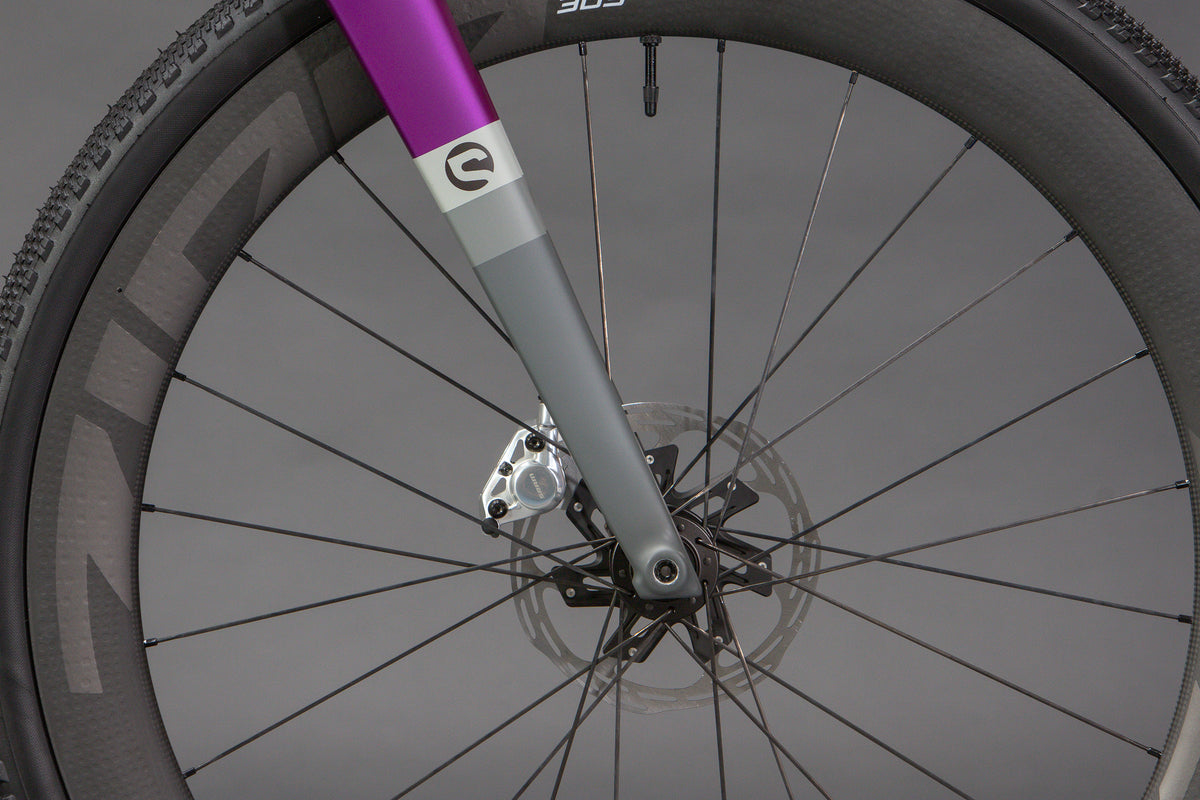Rallye in Twilight Purple