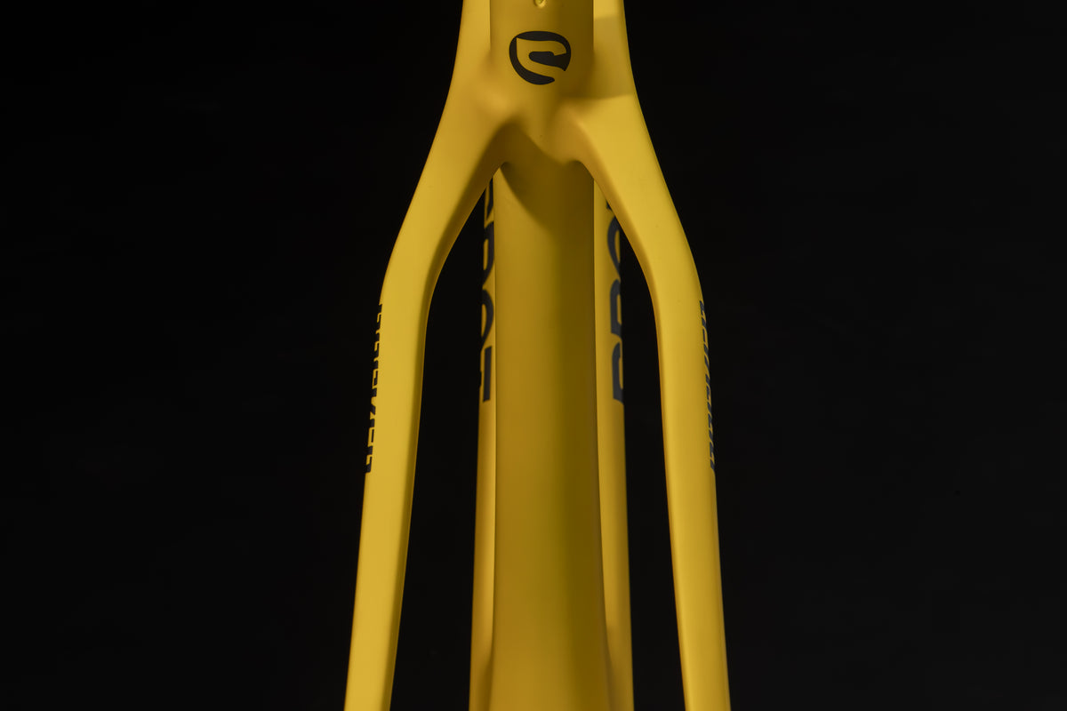 Rocker Gen 3 carbon frame in Aspen Glow, seatstays and seat tube seen from behind